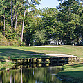 6th Hole at Litchfield C C