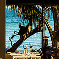 Dining For Two at Louie's Backyard
