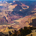 Expanse at Desert View